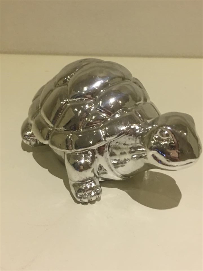 skildpadde i sølv